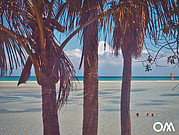 Lagune de Sotavento à Fuerteventura