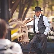 Les ânes à Pajara Les ânes à Pajara