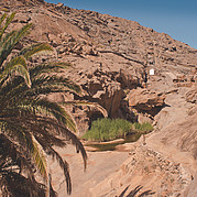 Petite chapelle Buen Paso Petite chapelle Buen Paso